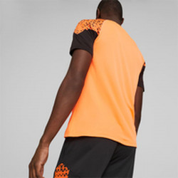 Camiseta de Fútbol de Manga Corta Hombre Puma Individual Cup Training