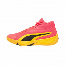 Zapatillas de Baloncesto...