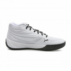 Zapatillas de Baloncesto...