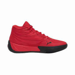 Zapatillas de Baloncesto...