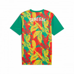 Camiseta de Fútbol de Manga Corta Hombre Puma Senegal Prematch Ss Verde